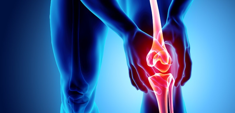 Les bisphosphonates dans l’arthrose du genou